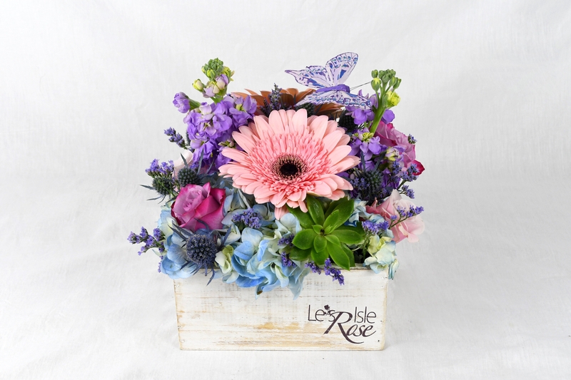 Bloom Box Rose - Item # 44699 - Dave's Gift Baskets
